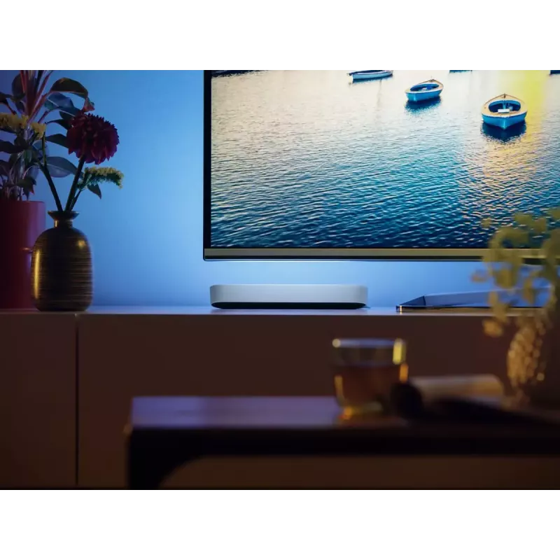Philips Hue White and Colour Ambience Play Light Bar pack duplo