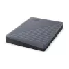 WESTERN DIGITAL Disco externo - My Passport - 2 TB - USB-C/A 3.2 Gen 1 - cinzento