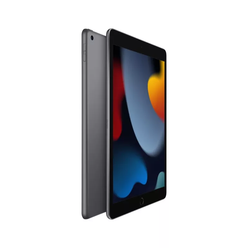 APPLE iPad - 10.2in - 9.ª geração - Wi-Fi - 64GB - cinzento sideral