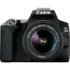 Canon EOS 250D + EF-S 18-55mm f/3.5-5.6 III Kit de câmara SLR 24,1 MP CMOS 6000 x 4000 píxeis Preto