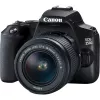 Canon EOS 250D + EF-S 18-55mm f/3.5-5.6 III Kit de câmara SLR 24,1 MP CMOS 6000 x 4000 píxeis Preto