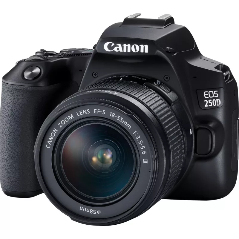 Canon EOS 250D + EF-S 18-55mm f/3.5-5.6 III Kit de câmara SLR 24,1 MP CMOS 6000 x 4000 píxeis Preto