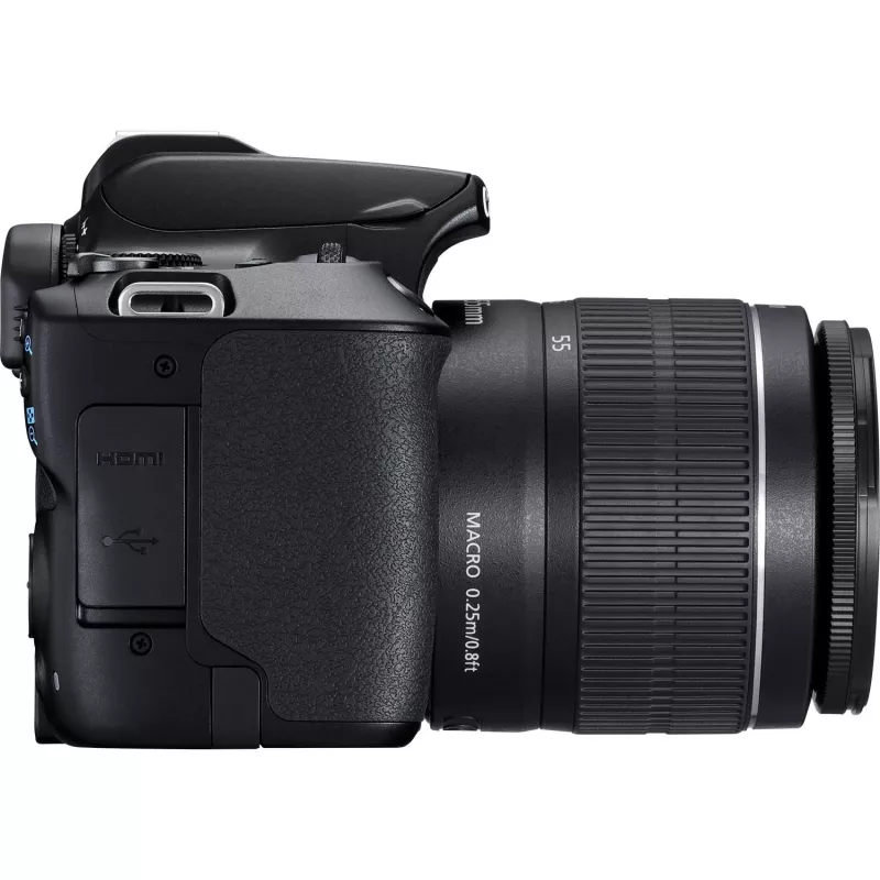 Canon EOS 250D + EF-S 18-55mm f/3.5-5.6 III Kit de câmara SLR 24,1 MP CMOS 6000 x 4000 píxeis Preto
