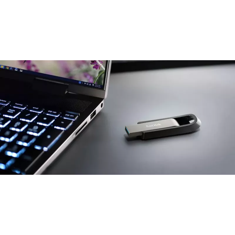 WESTERN DIGITAL SanDisk Ultra Extreme GO - 256GB Pen USB - USB 3.2