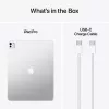 APPLE iPad Pro M5 - 13 polegadas - Wi-Fi + Cellular - 256 GB - vidro padrão - prateado