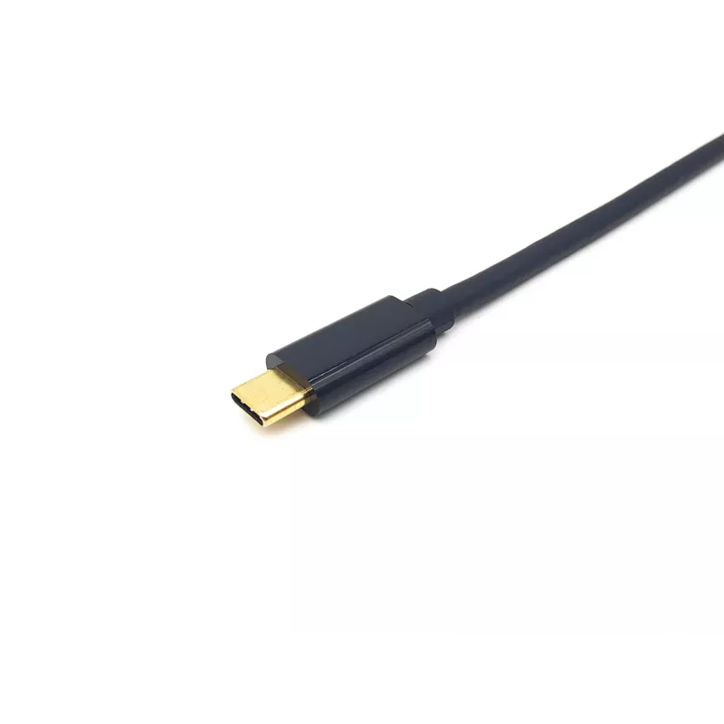 Equip cabo USB-C para DisplayPort, ficha/ficha, 2,0 m, 4K/60Hz