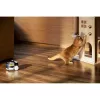 Câmara de vigilância Enabot Family Robot IP ROLA PetPal WH287304