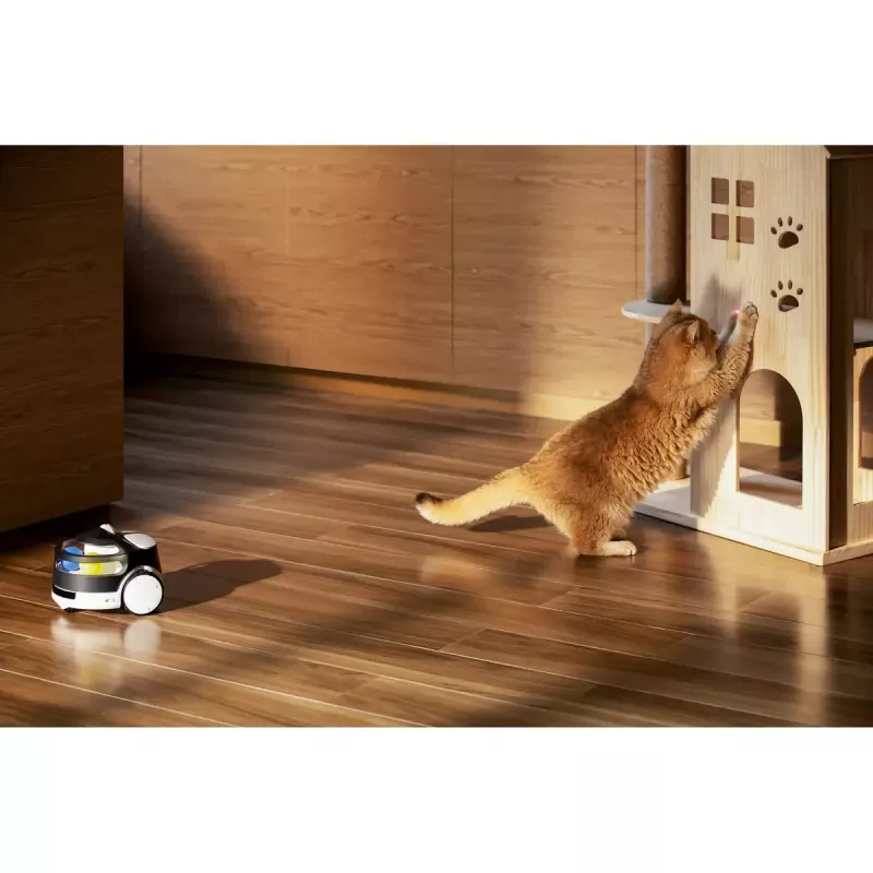 Câmara de vigilância Enabot Family Robot IP ROLA PetPal WH287304