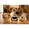 Câmara de vigilância Enabot Family Robot IP ROLA PetPal WH287304