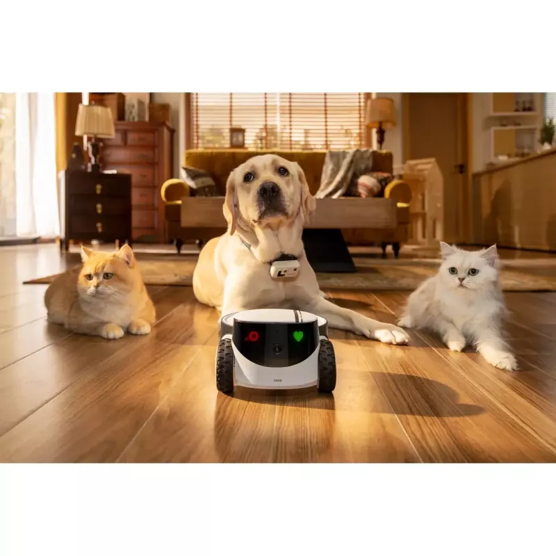 Câmara de vigilância Enabot Family Robot IP ROLA PetPal WH287304
