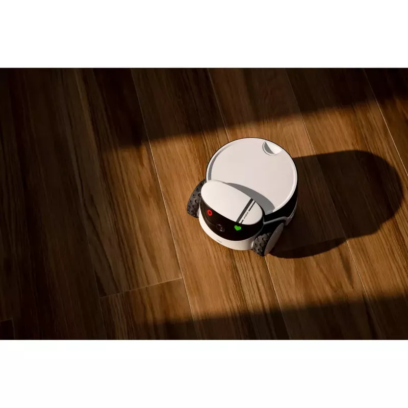 Câmara de vigilância Enabot Family Robot IP ROLA PetPal WH287304