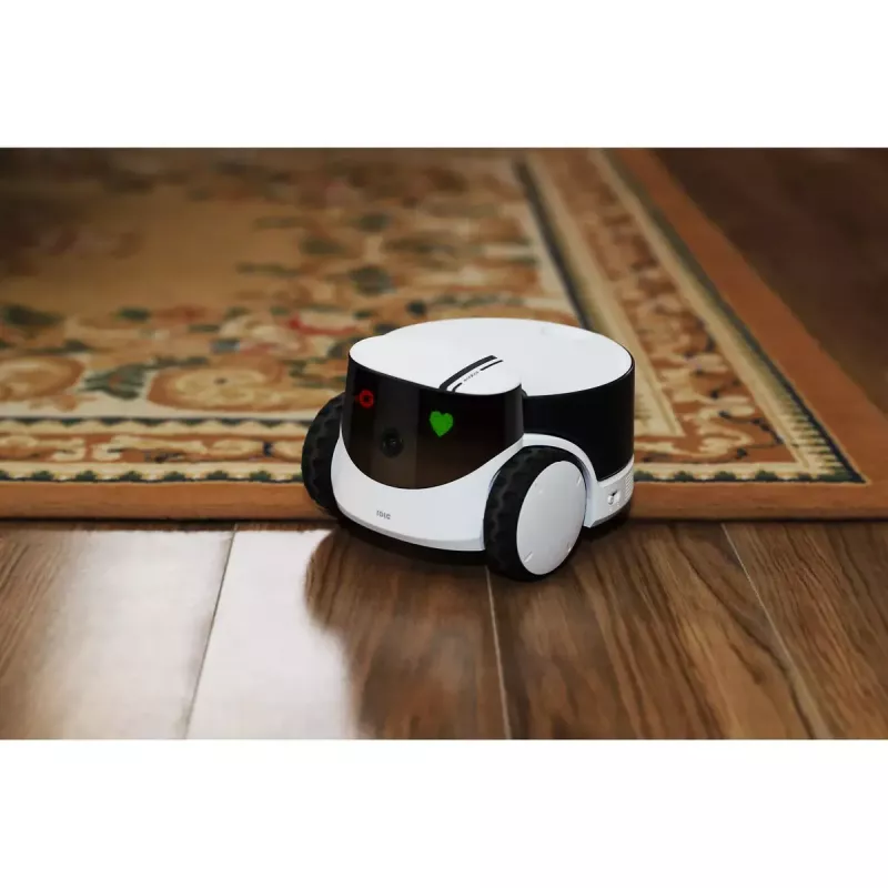 Câmara de vigilância Enabot Family Robot IP ROLA PetPal WH287304