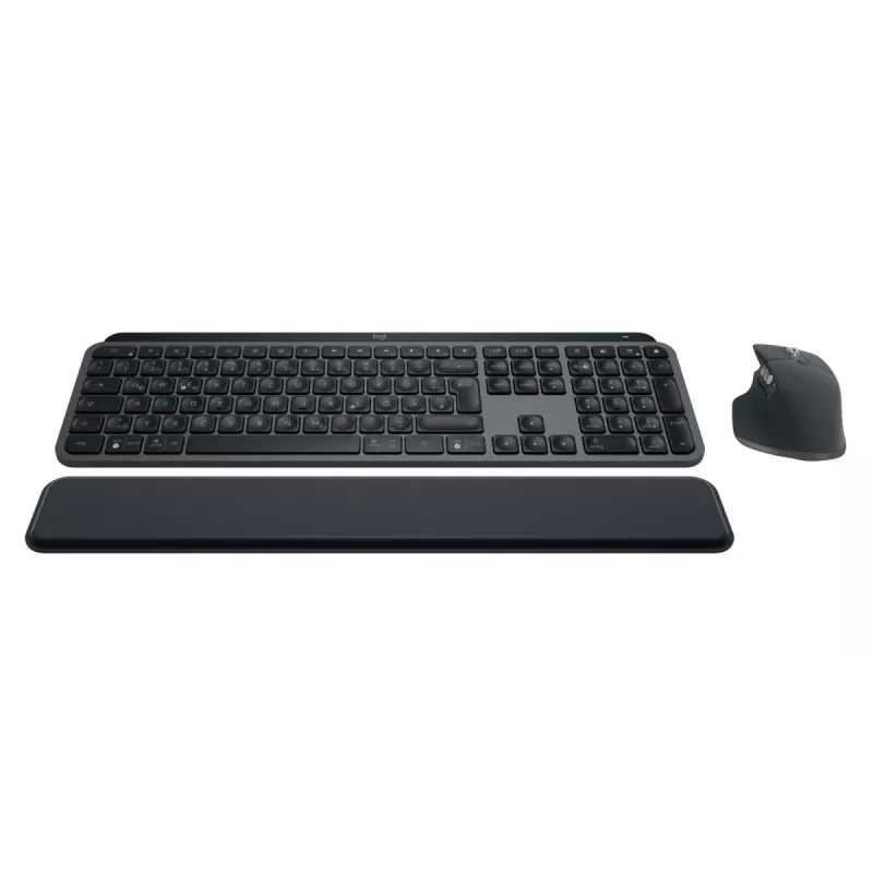 LOGITECH MX Keys Combo For Business Gen 2 - grafite - Qwertz - alemão