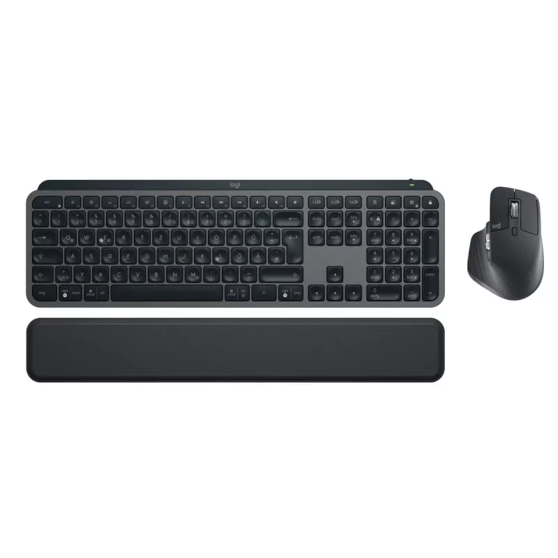 LOGITECH MX Keys Combo For Business Gen 2 - grafite - Qwertz - alemão