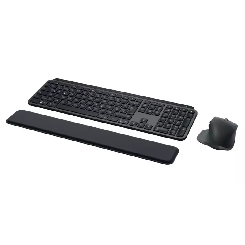 LOGITECH MX Keys Combo For Business Gen 2 - grafite - Qwertz - alemão