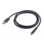 Cabo GEMBIRD USB 2.0 AM para Type-C (AM/CM) - 2,0 m