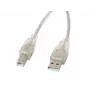Cabo USB LANBERG USB 2.0 USB B – 3 m transparente