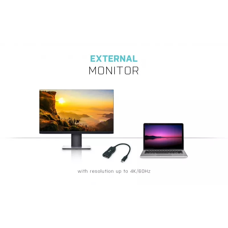 Adaptador i-tec USB-C Display Port 4K/60 Hz