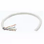 Cabo de rede em rolo Cat6 Intellinet, 23 AWG, fio maciço, 305 m, cinzento, CCA, U/UTP, caixa