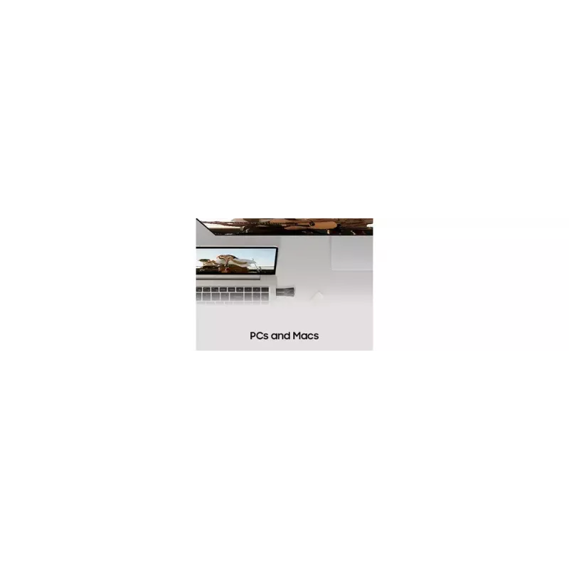 Pen USB Samsung MUF-64BE 64 GB USB Type-A 3.2 Gen 1 (3.1 Gen 1) cinzento