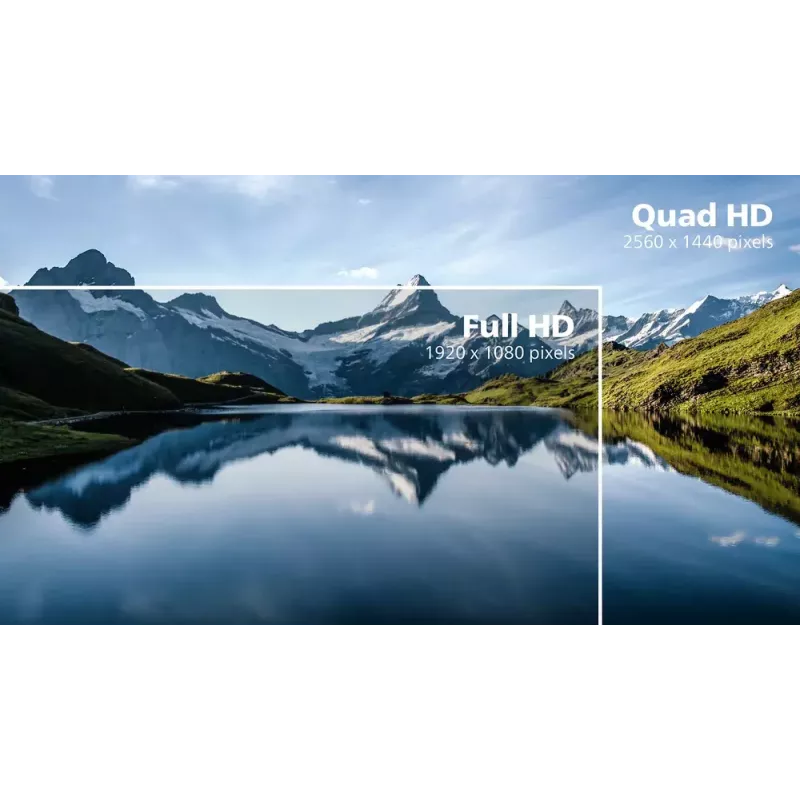 Monitor Philips B Line 245B1/00 60,5 cm (23,8