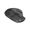 Rato NATEC Falcon Office destro Bluetooth