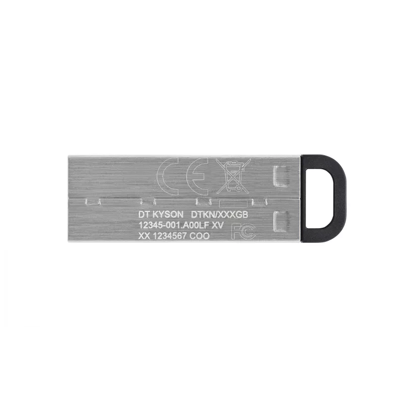Pen USB Kingston Technology DataTraveler 256GB Kyson