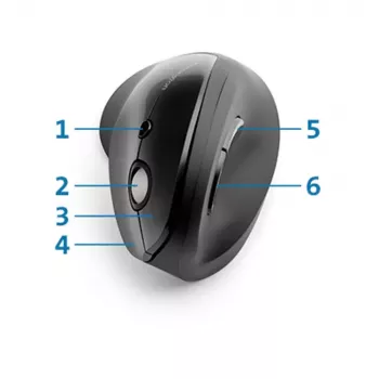 Rato Kensington Pro Fit Ergo Vertical Wireless RF sem fios
