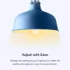 Lâmpada inteligente Wi-Fi TP-Link Tapo, regulável