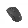 Rato ótico sem fios NATEC Jay 2 RF — 2,4 GHz, 1600 DPI, ambidestro, 4 botões, preto