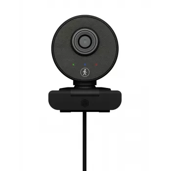Webcam ICY BOX IB-CAM501-HD 1920 x 1080 pixels USB 2.0 preta