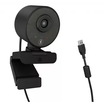 Webcam ICY BOX IB-CAM501-HD 1920 x 1080 pixels USB 2.0 preta