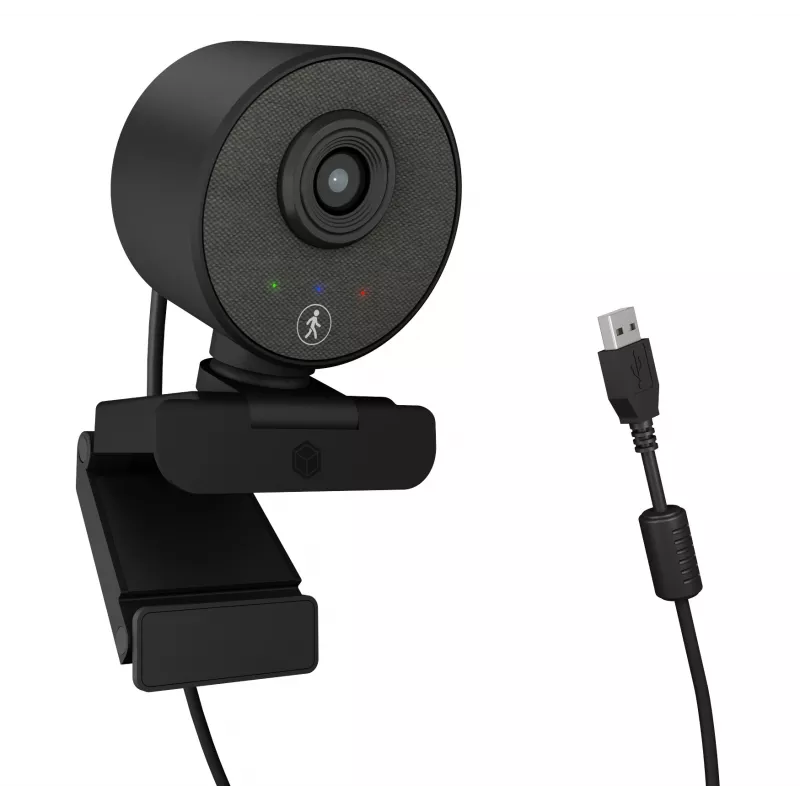 Webcam ICY BOX IB-CAM501-HD 1920 x 1080 pixels USB 2.0 preta