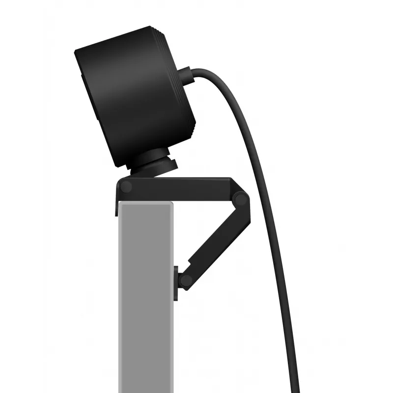 Webcam ICY BOX IB-CAM501-HD 1920 x 1080 pixels USB 2.0 preta