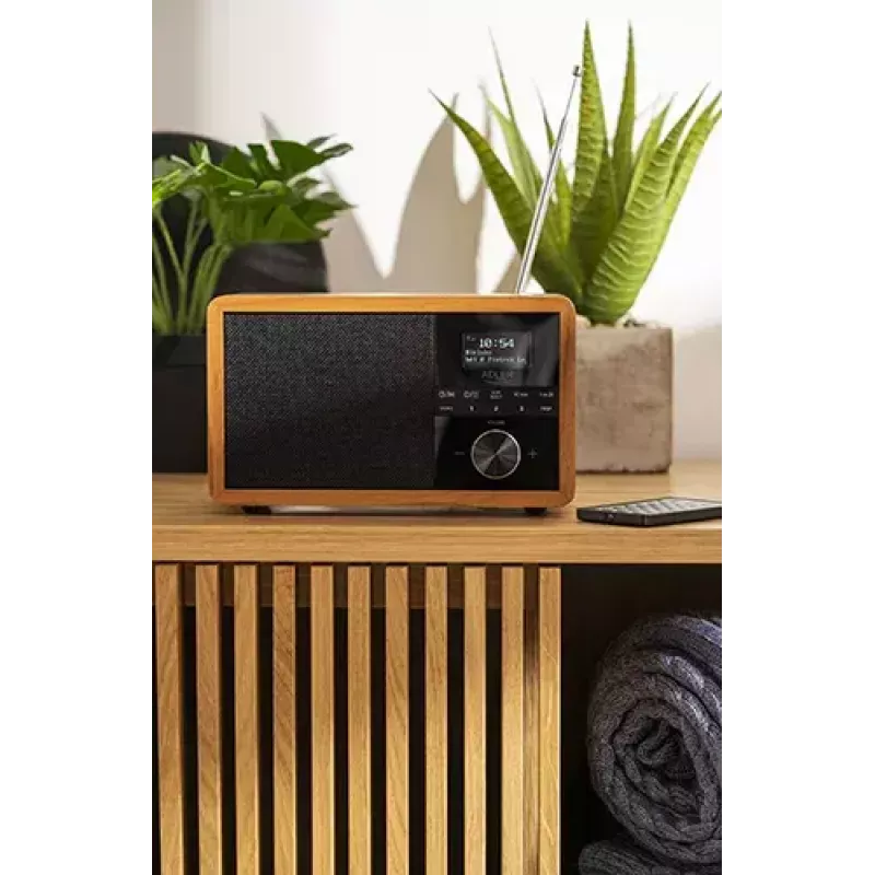 Rádio portátil Adler AD 1184 com sintonizador digital DAB+/FM/AM, Bluetooth 5.0, 15W, SD/USB, despertador, preto/madeira