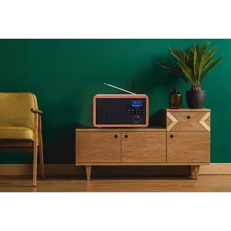 Rádio portátil Adler AD 1184 com sintonizador digital DAB+/FM/AM, Bluetooth 5.0, 15W, SD/USB, despertador, preto/madeira