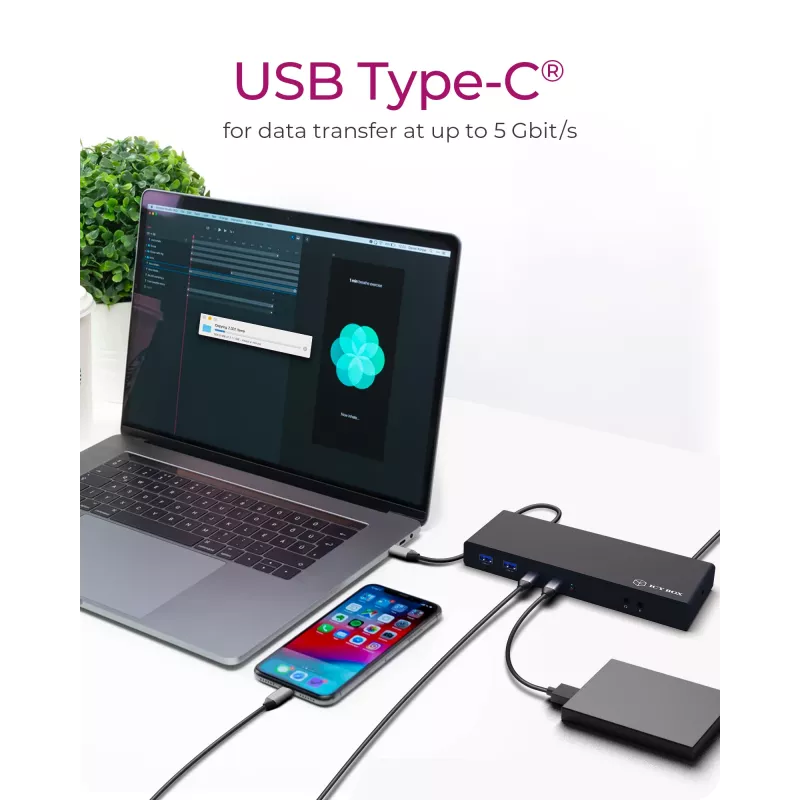 ICY BOX IB-DK2245AC com fios USB 3.2 Gen 1 (3.1 Gen 1) Type-C preto