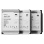 Disco SYNOLOGY HAS530012T - 12TB - SAS 12Gb/s - 3,5 polegadas - 7200 rpm