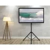 Suporte de chão universal Techly para televisores 17-60 polegadas