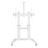 Carrinho/suporte multimédia Techly ICA-TR49W branco para ecrã plano