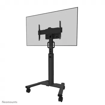Carrinho de TV Neomounts FL50S-825BL1 37-75 polegadas - TÜV, preto, suporte de chão fixo, aço, 70 kg, 94 cm (37 polegadas), 190,5 cm (75 polegadas)