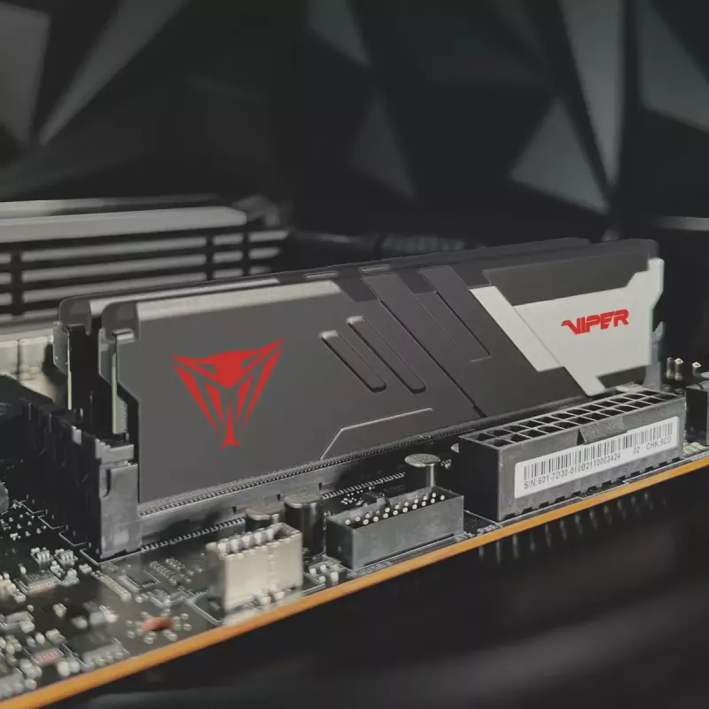 DIMM 32 GB DDR5-7200 (2x 16 GB) dual kit, memória RAM preto, PVV532G720C34K, Viper Venom, INTEL XMP
