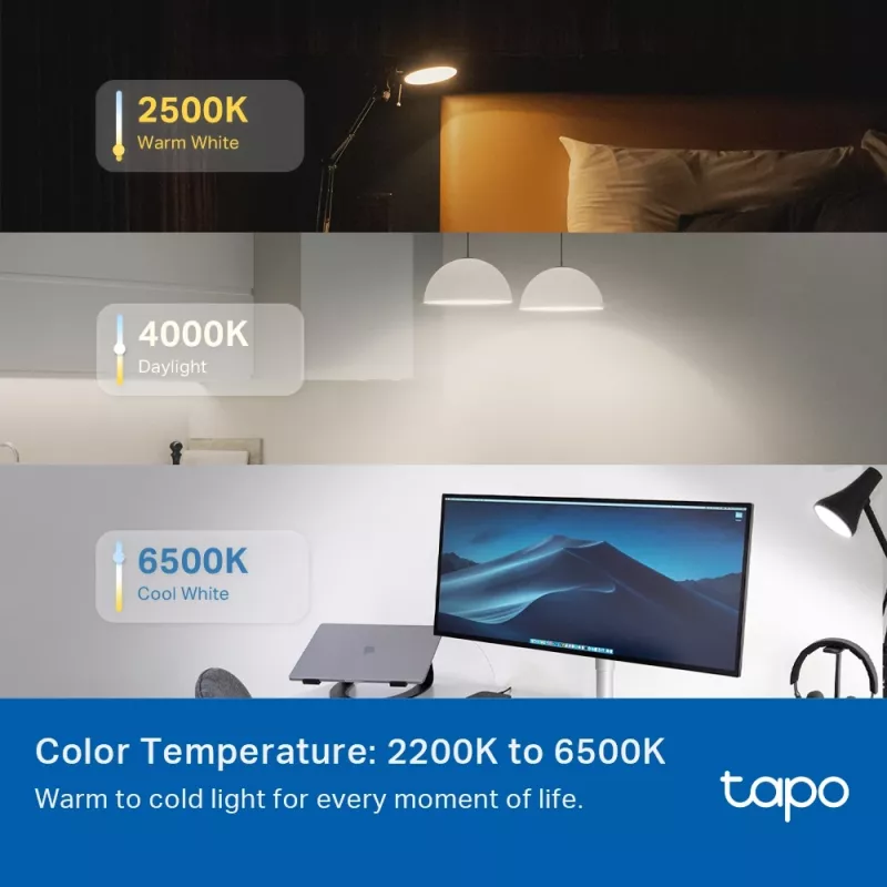 Lâmpada inteligente TP-Link Tapo, Multicolor, Matter, lâmpada inteligente, Wi-Fi/Bluetooth, Branco, 802.11b, 802.11g, Wi-Fi 4 (802.11n), WPA-PSK, WPA2-PSK, WPA3-SAE, LED