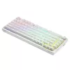 Teclado gaming Savio Phenix WHITE GAT amarelo USB Bluetooth QWERTY