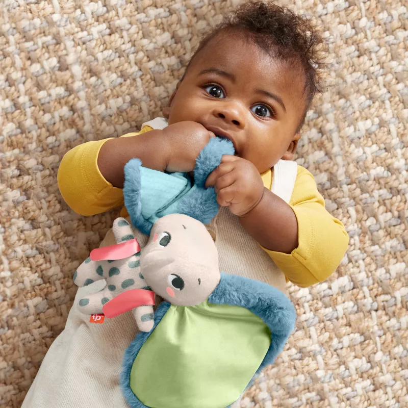 Peluche MATTEL Fisher-Price Planet Friends Elefante de Orelhas Gigantes HKD63, elefante de peluche companheiro