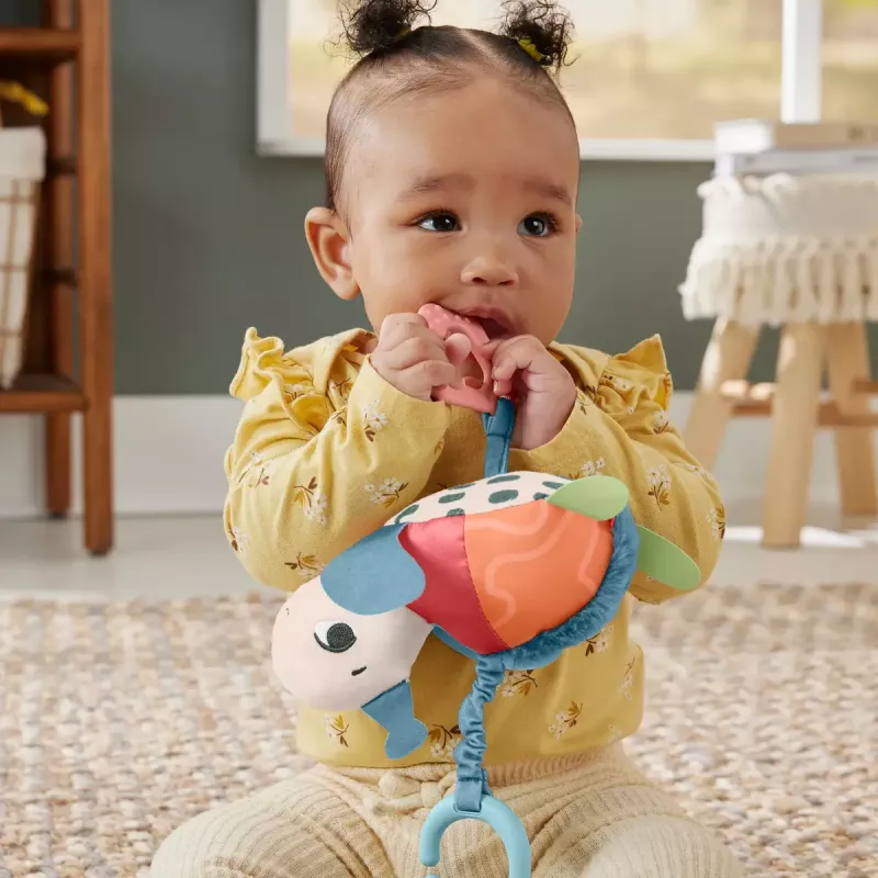 Tartaruga Fisher-Price Sea Me Bounce Turtle idade recomendada 0 a 2 anos