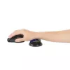 Kensington K62439WW Slim Duo Gel apoio de pulso para rato/trackball, 192 x 72 x 22 mm, azul