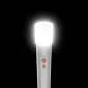 Lanterna de mão Hama FL250 LED 3W alumínio prateado