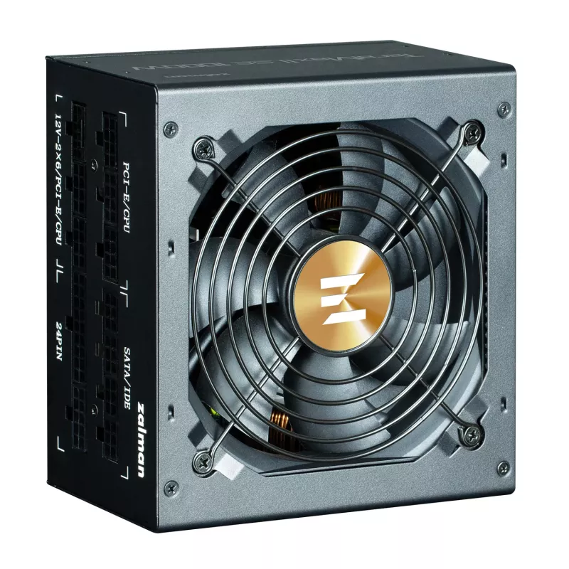 Fonte de alimentação Zalman TeramaxII SE 1000 W 18+10 pin ATX ATX preto