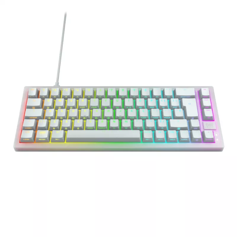 CHERRY XTRFY K5V2 RGB teclado gaming mecânico com fios compacto 65 %, CHERRY MX2A Red, layout alemão QWERTZ, branco